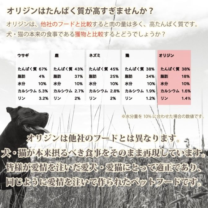 Orijen(オリジン) ドッグフード オリジナル 11.3kg-