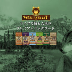 私のおすすめドッグフード ウルフブラッド WOLFBLUT
