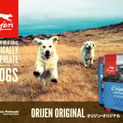 オリジン　アウトレット　訳あり　賞味期限が切れて1年未満