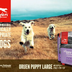 オリジンのアウトレットなら　ペットフードマルシェピーチ　訳あり　賞味期限切れ