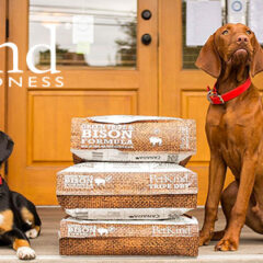 主タンパク質ローテーションのすすめ　ドッグフード