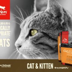 売り切れ間近　オリジンのアウトレットなら　ペットフードマルシェピーチ　フードロス　賞味期限切れ