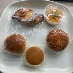 11回目　山口大学動物医療センター　浸潤性上皮癌治療　