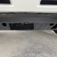 12回目　山口大学動物医療センター　浸潤性上皮癌治療　